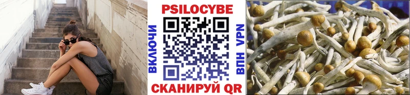 Псилоцибиновые грибы мухоморы Опочка